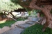 Garden detail